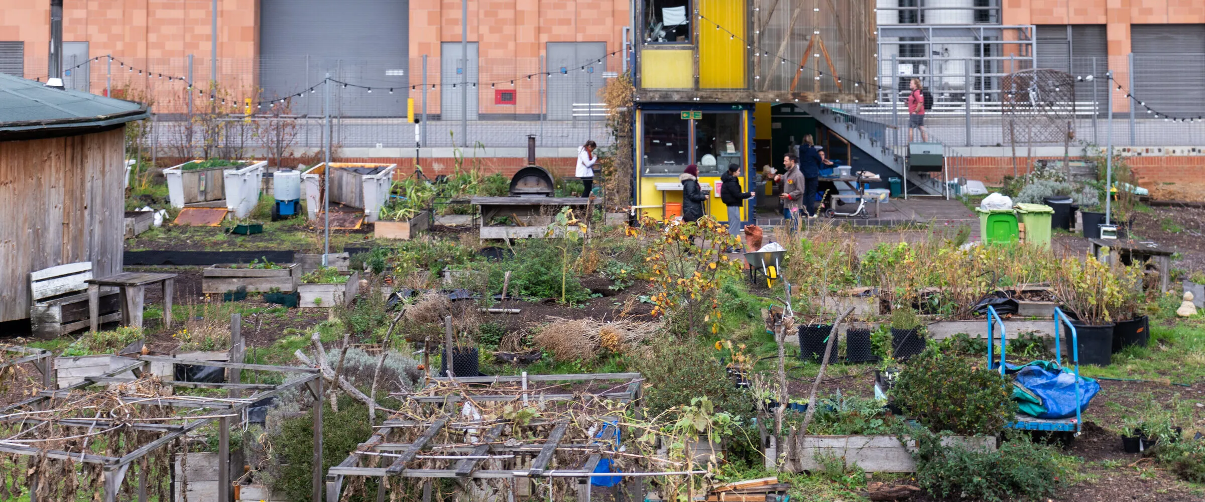 The Story Garden allotments at Somers Town, raised beds and structures against the buildings behind.